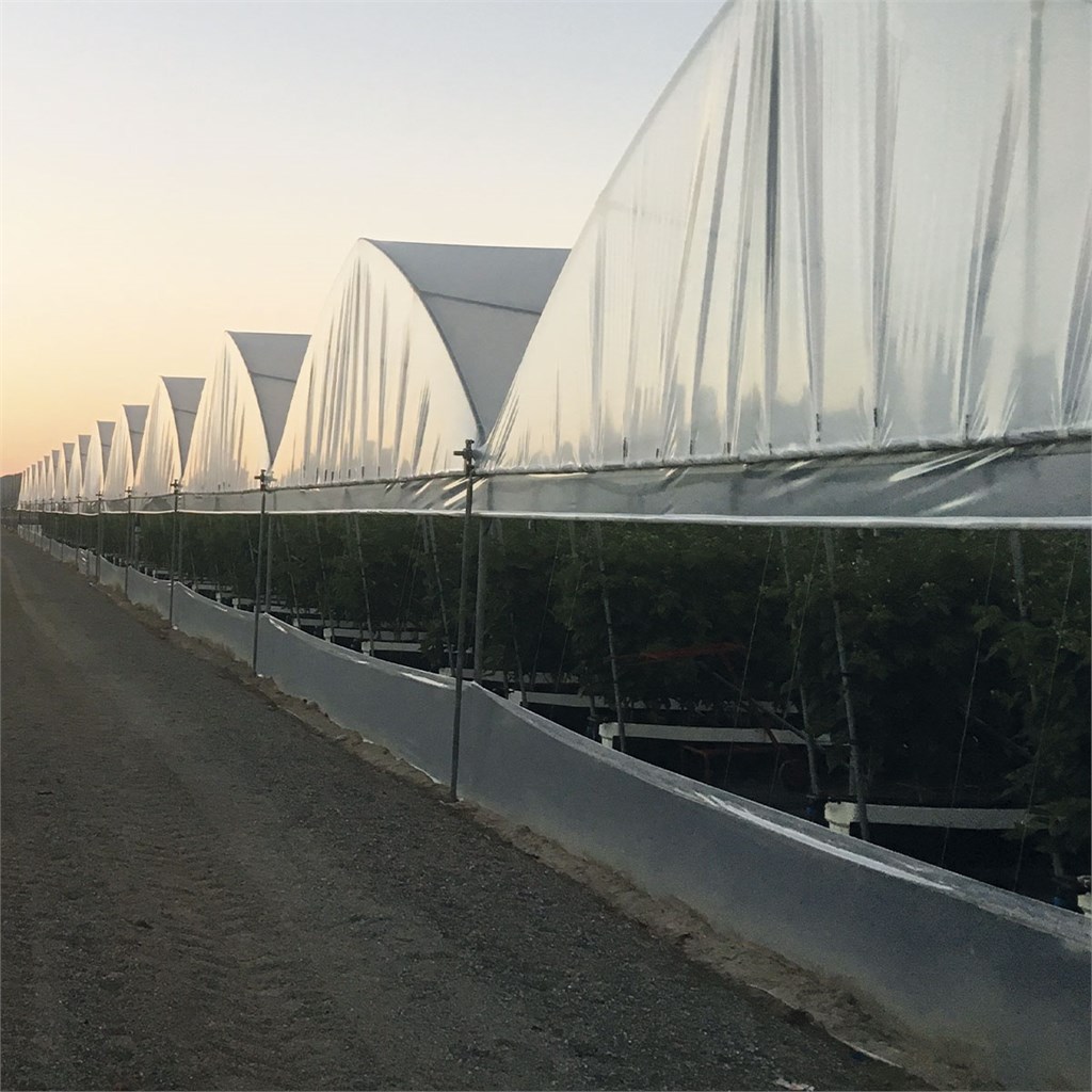 FILM PE ADDITIVATO 0,18 MT. 12 X 50  BOBINA